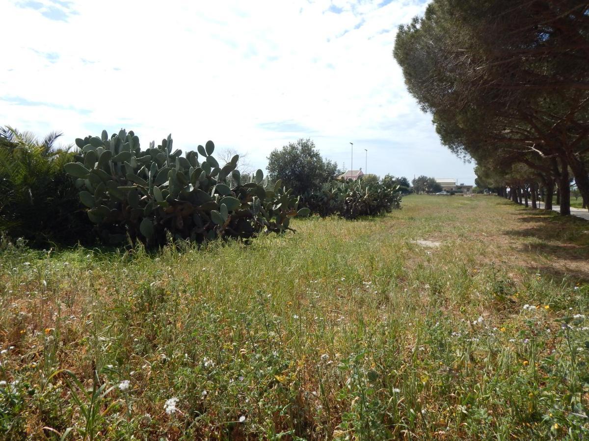 Turtle Island Apartments Santa Croce Camerina Dış mekan fotoğraf