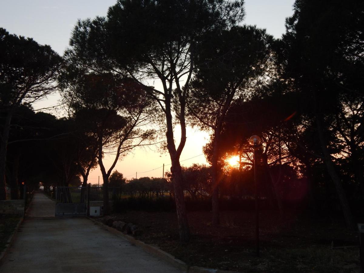 Turtle Island Apartments Santa Croce Camerina Dış mekan fotoğraf