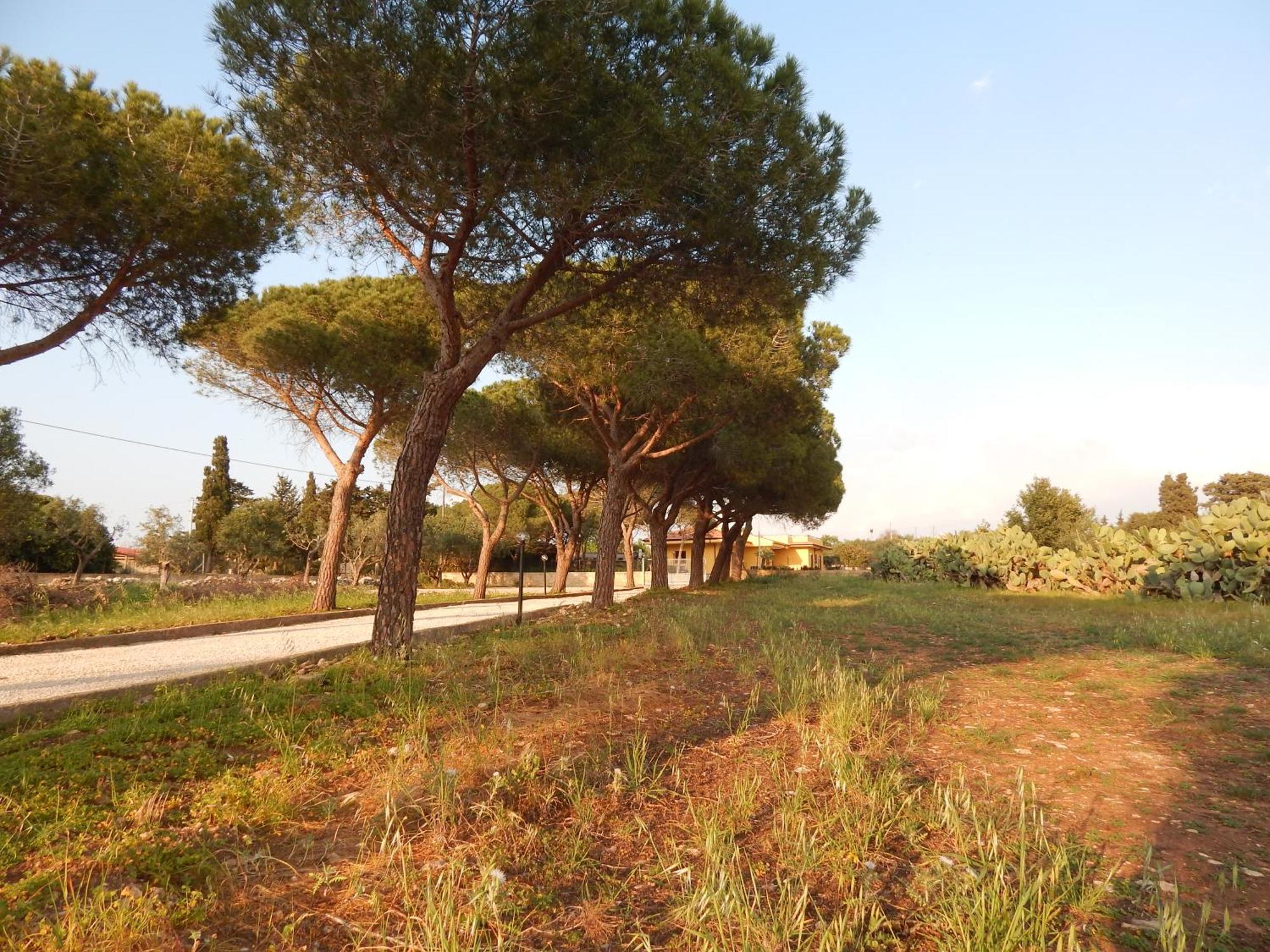 Turtle Island Apartments Santa Croce Camerina Dış mekan fotoğraf