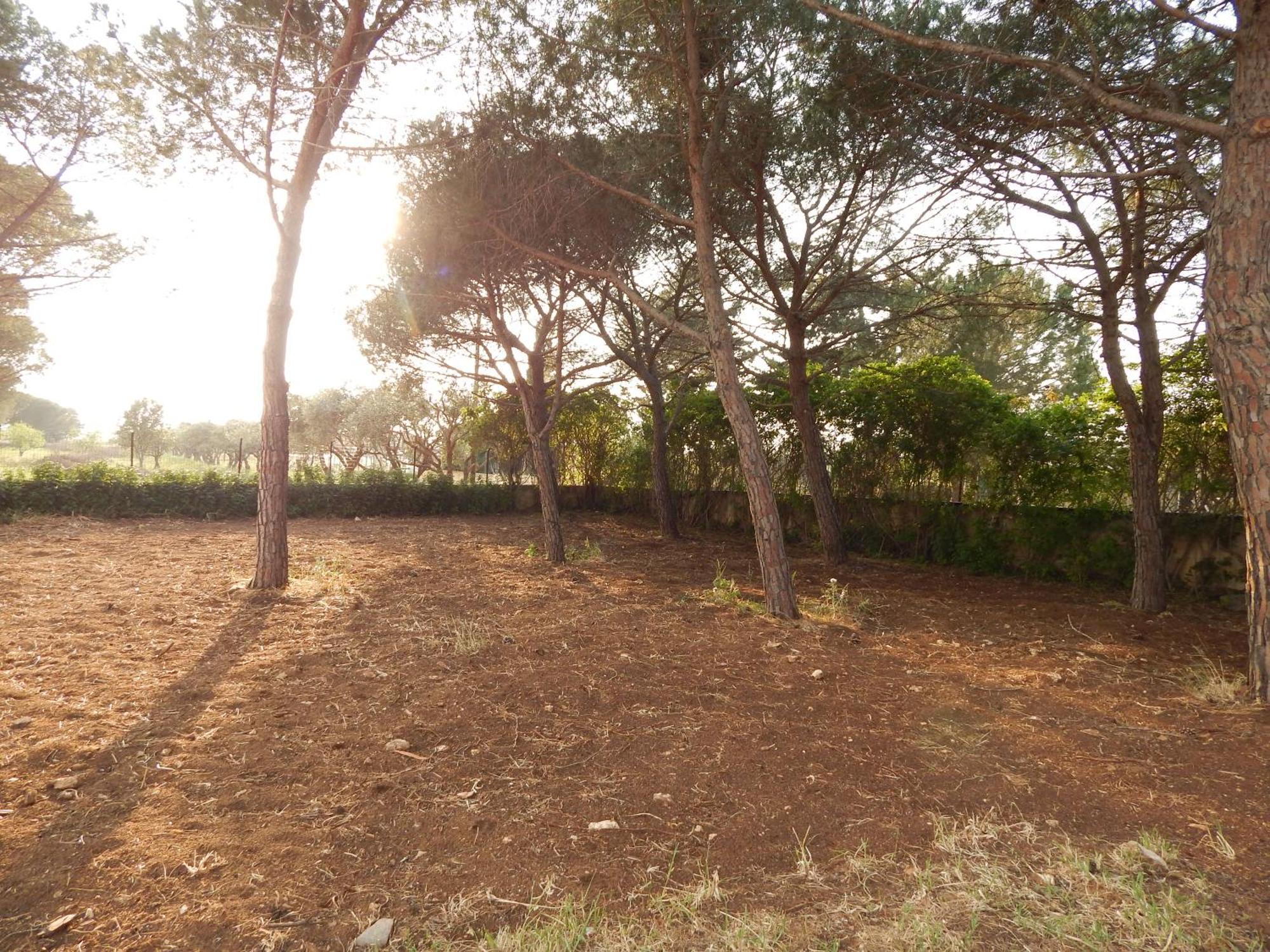 Turtle Island Apartments Santa Croce Camerina Dış mekan fotoğraf