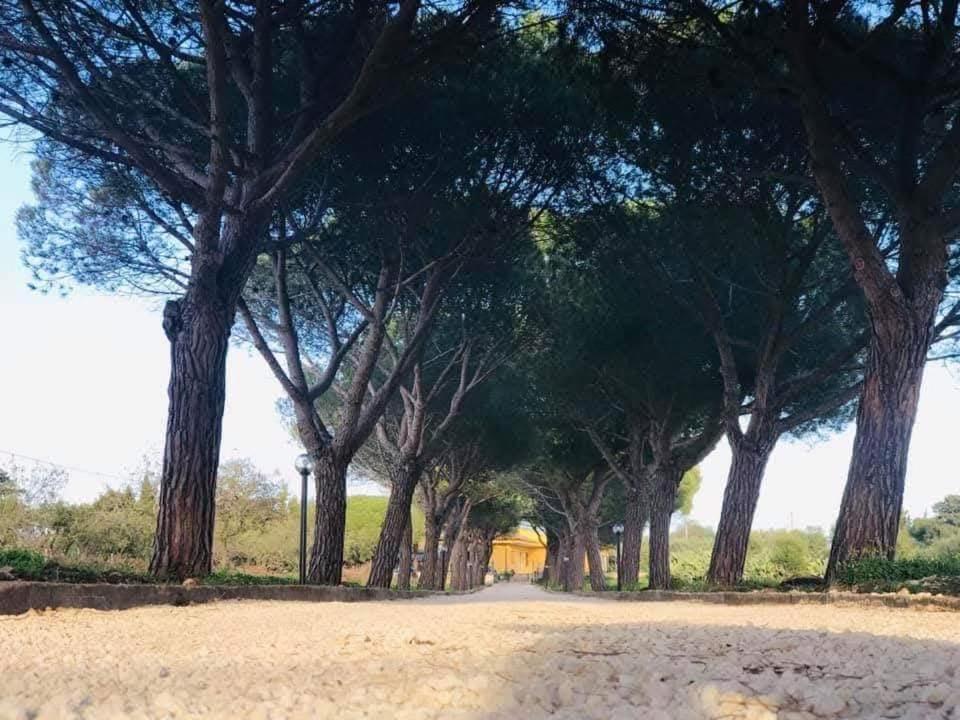 Turtle Island Apartments Santa Croce Camerina Dış mekan fotoğraf